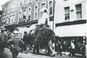 An elephant walks down Princess Street in Kingston