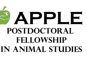 Post-doc call poster