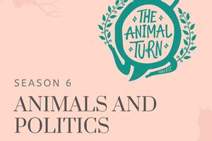 Poster of Season 6 of The Animal Turn Podcast: Animals and Politics